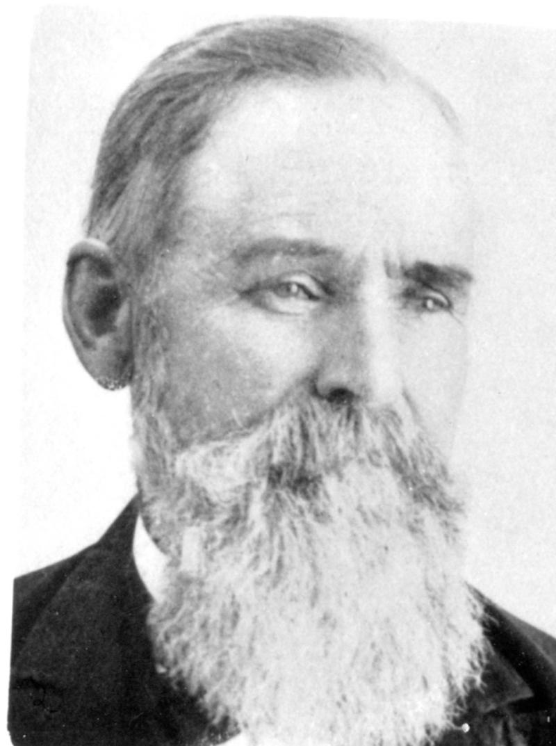 Andrew Alexander Dahl (1833 - 1909) Profile